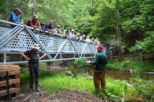 A group of people lean on the railing of a metal bridge on the Hogg's Falls section of the Bruce Trail.